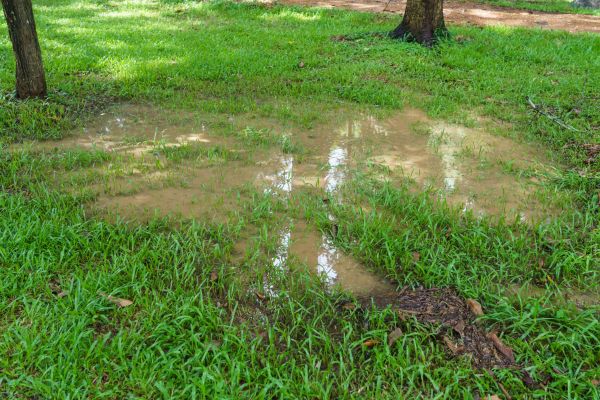 Cost of Storm Water Drainage Service in Carlisle