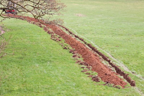 Cost of Swale Installation in Carlisle
