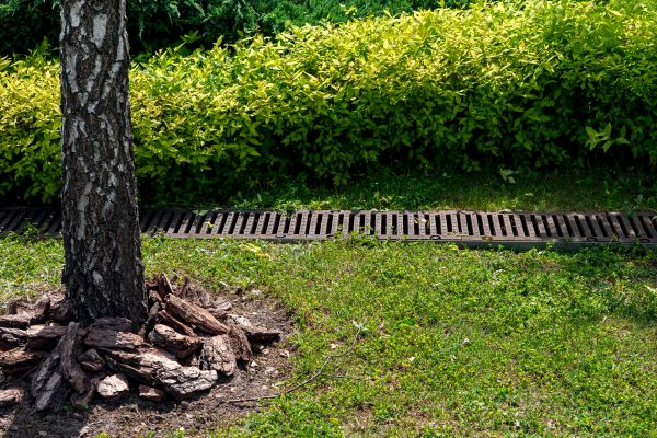 Garden Drainage Installation in Carlisle