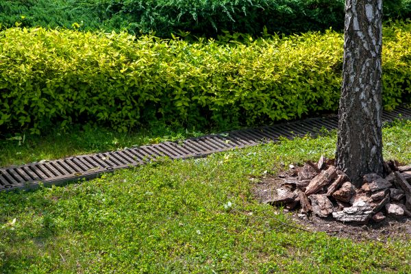 Cost of Residential Landscape Drainage in Carlisle