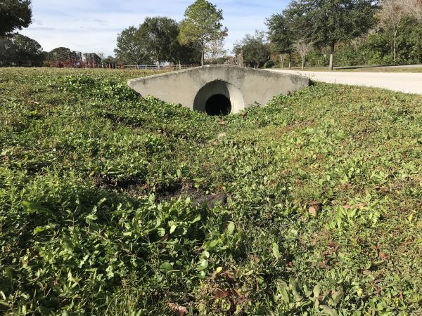 Cost of Swale Drainage Service in Carlisle
