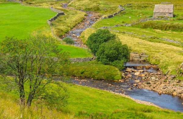 Cost of Swale Repair in Carlisle